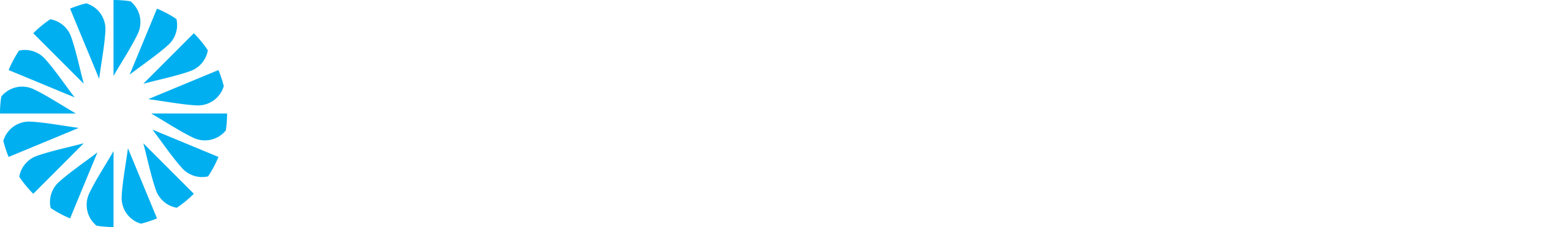 SOLID LOGO BRANCO PNG
